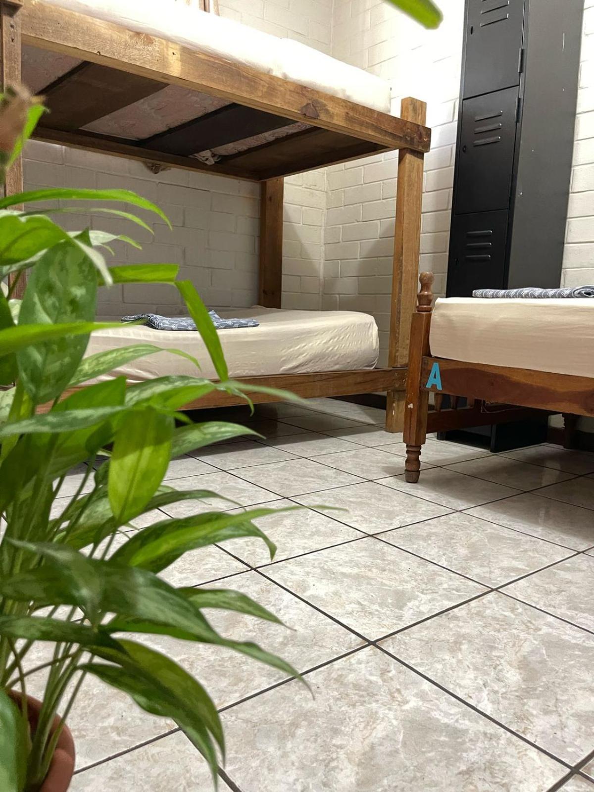 Pool House Hostel Santa Ana Bagian luar foto